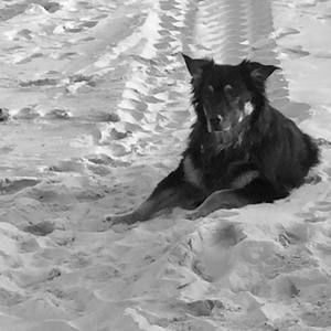 Meet your Posher, Keith